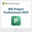 MS Project Professional 2019 (PC)