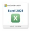 Microsoft Excel 2021 (Windows)