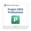 Microsoft Project 2024 Professional (PC)
