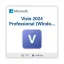 Microsoft Visio 2024 Professional (Windows PC)