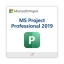 MS Project Professional 2019 (PC)