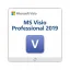 MS Visio Professional 2019 (PC)