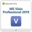 MS Visio Professional 2019 (PC)