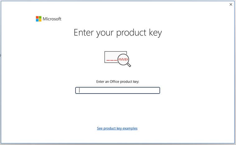 Microsoft Visio 2021 Professional (Windows PC) install step 6: Enter your 25-character key