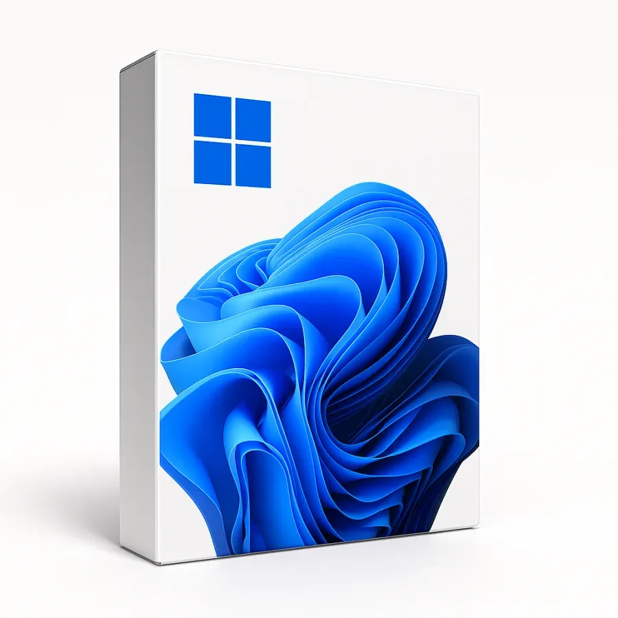 Windows 11 Pro — view 2